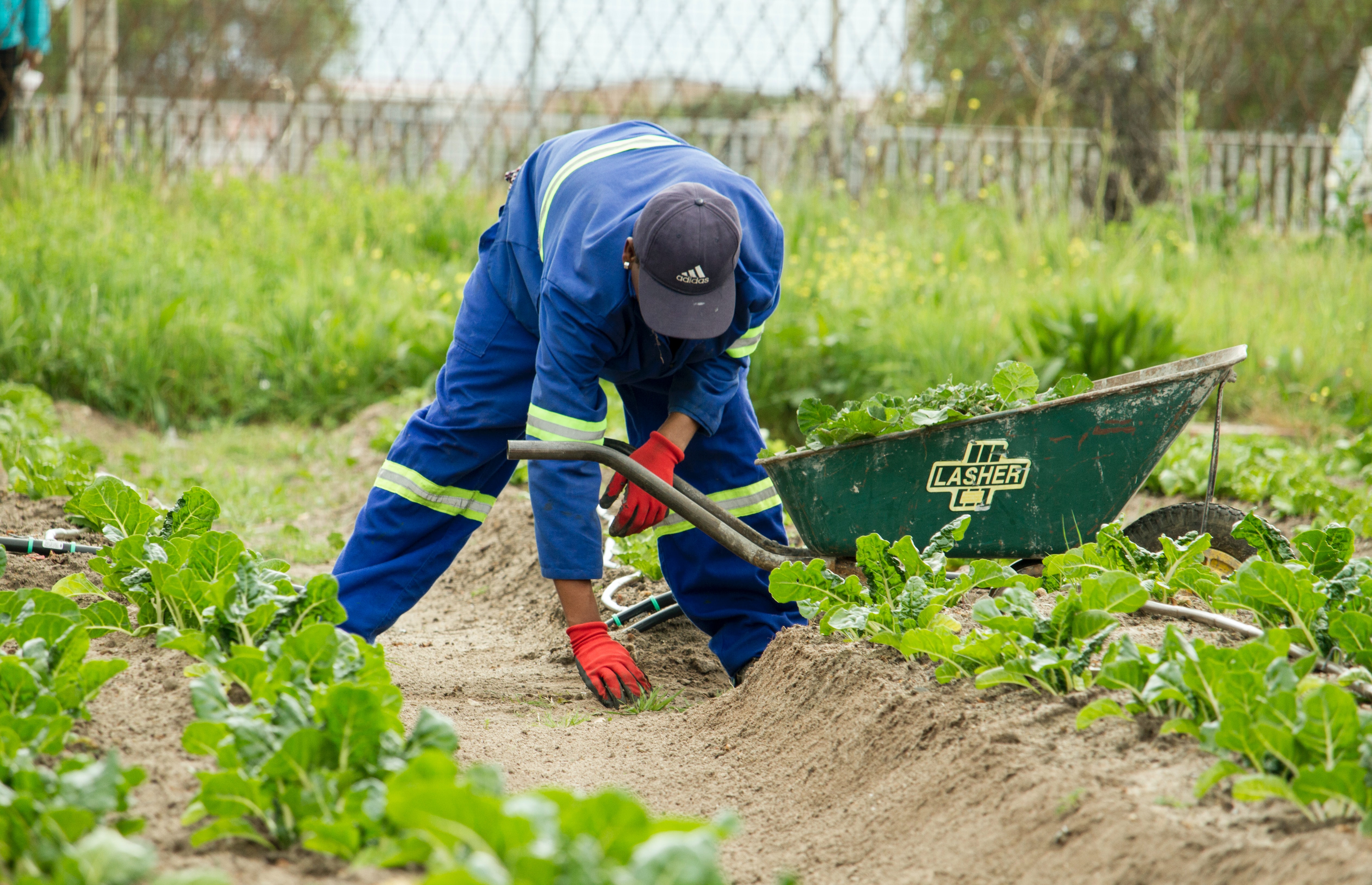 Farm Worker